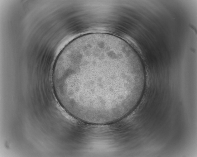 X0000102411192200808221904