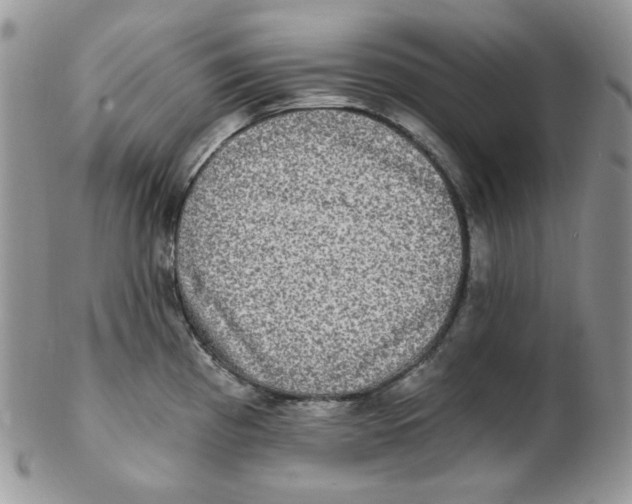 X0000102411193200808221904