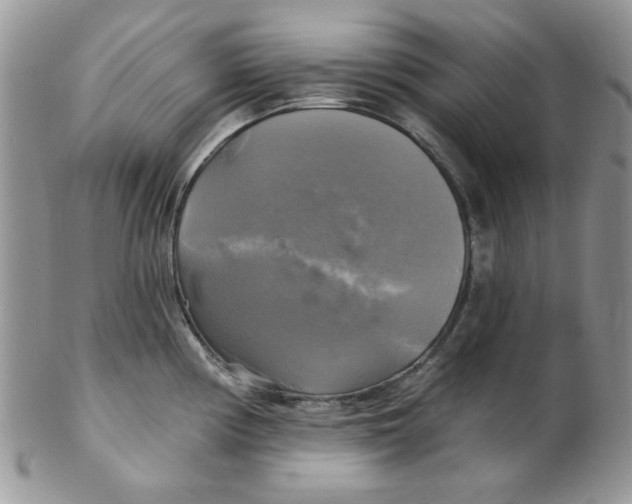 X0000102411194200808221904