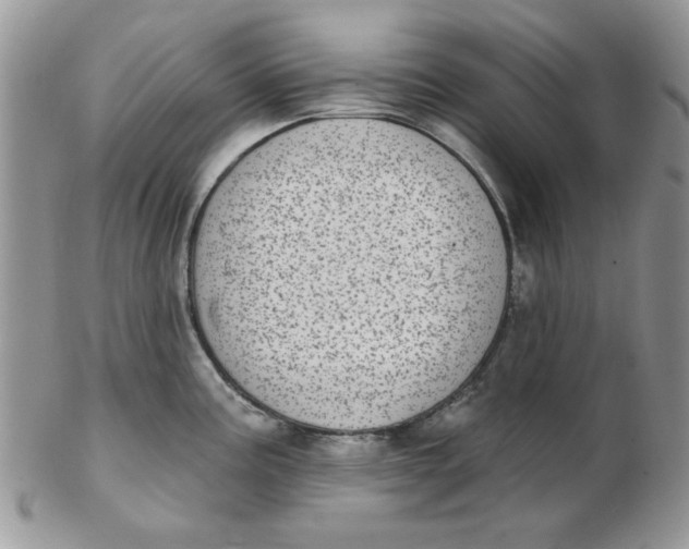 X0000102411195200808221904