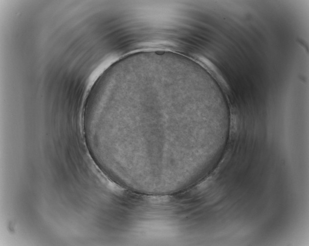 X0000102411196200808221904