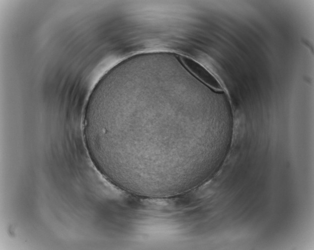 X0000102411197200808221904