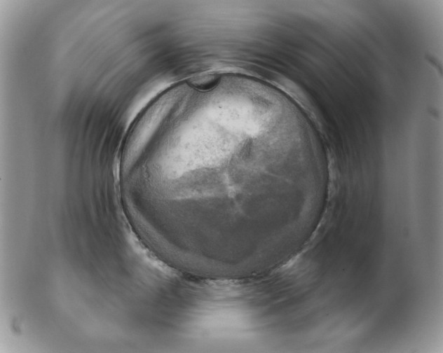 X0000102411198200808221904