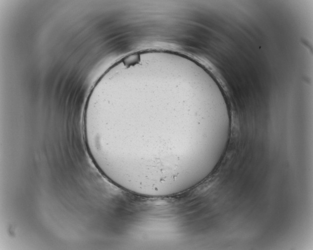 X0000102411199200808221904