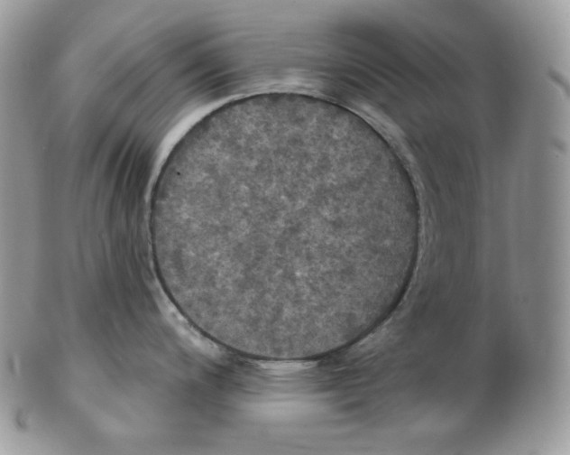 X0000102411200200808221904