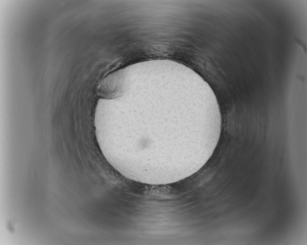 X0000102411201200808221903