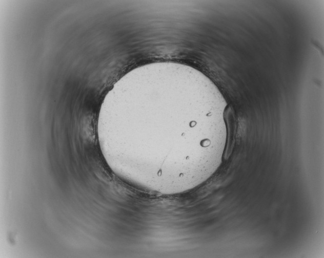 X0000102411202200808221904