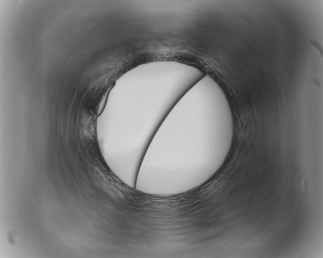 X0000102411204200808221904