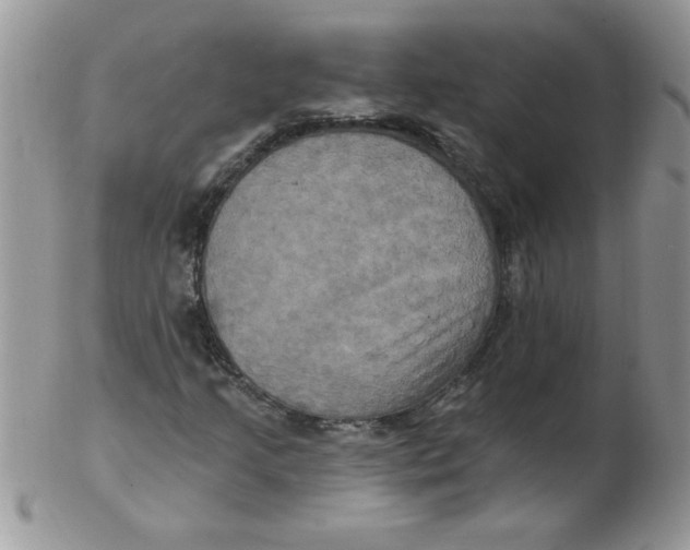 X0000102411205200808221904