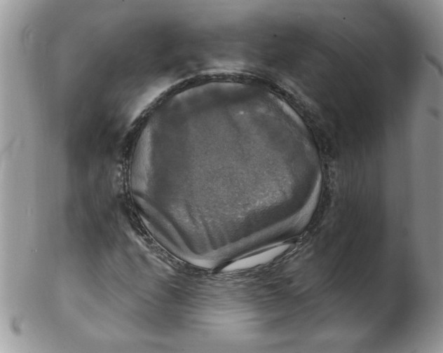 X0000102411208200808221904