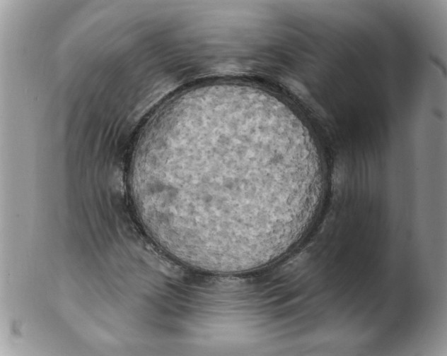 X0000102411209200808221904