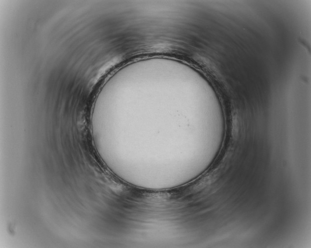 X0000102411210200808221904