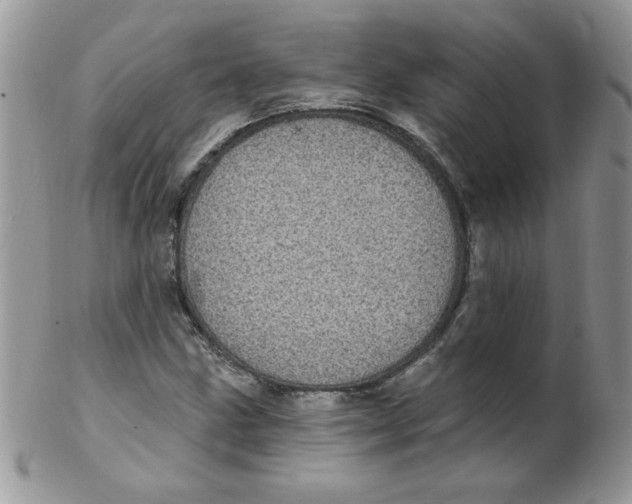 X0000102411211200808221904