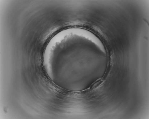 X0000102411213200808221904