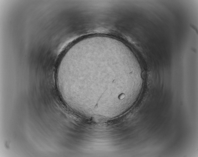 X0000102411214200808221904