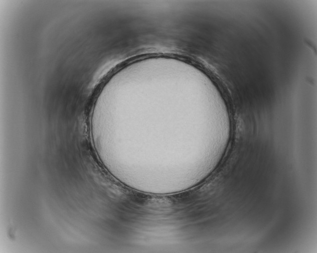 X0000102411215200808221904