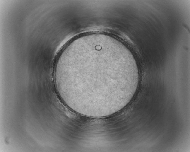 X0000102411216200808221904