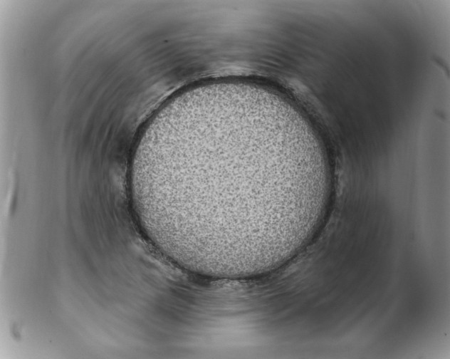 X0000102411217200808221904