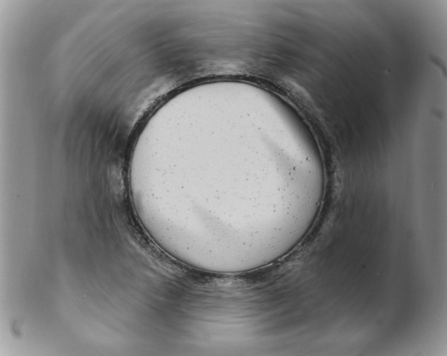 X0000102411218200808221904