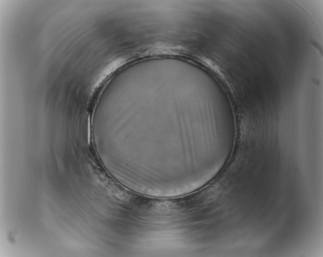 X0000102411219200808221904