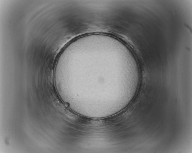 X0000102411220200808221904