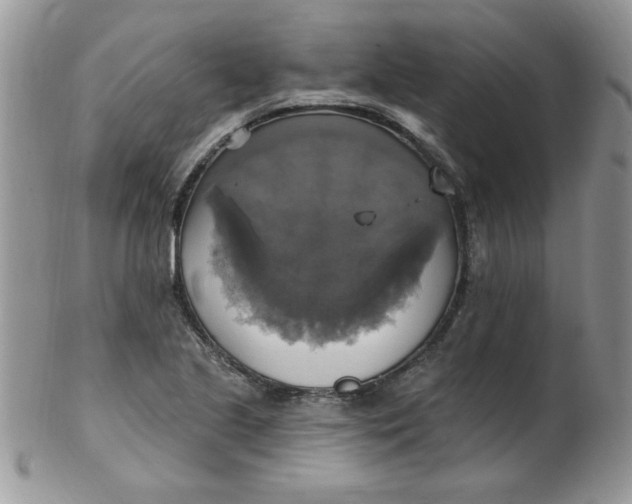 X0000102411221200808221904