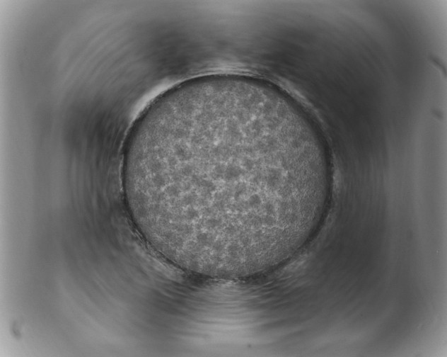 X0000102411222200808221904