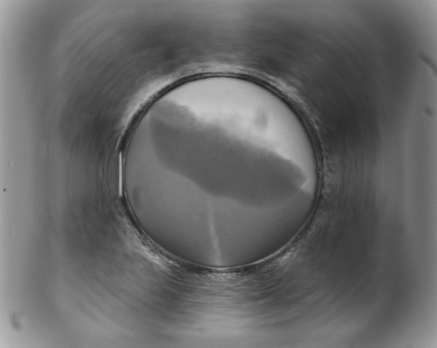 X0000102411223200808221904