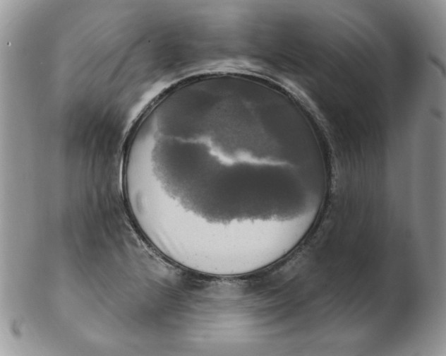 X0000102411224200808221904