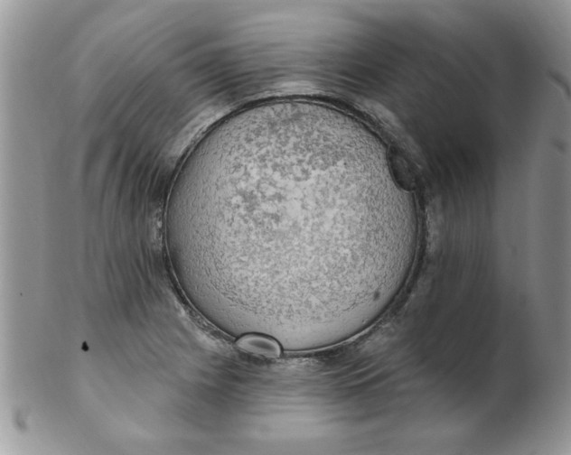 X0000102411225200808221904