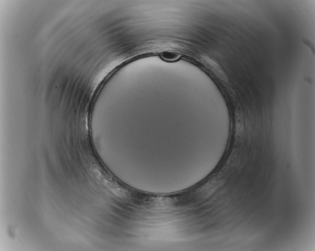 X0000102411226200808221904