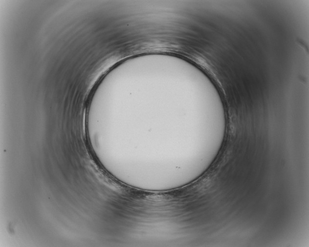 X0000102411227200808221904