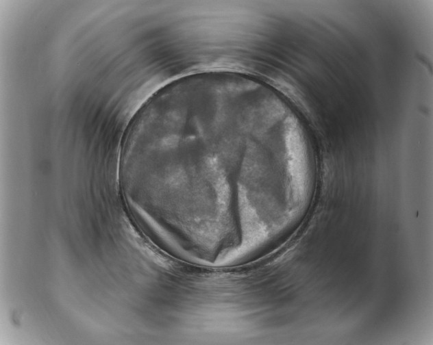 X0000102411228200808221904