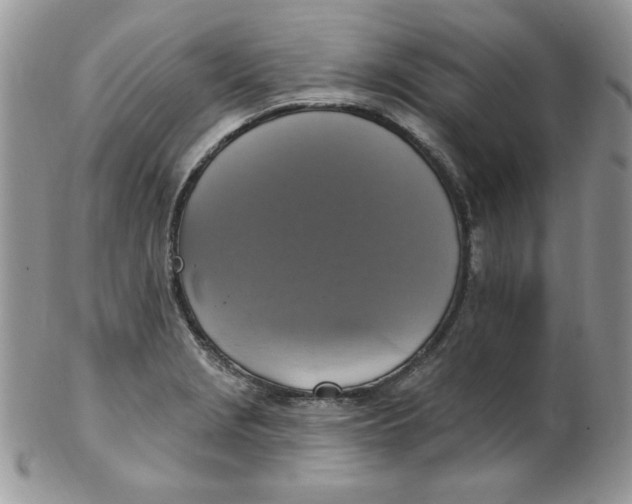 X0000102411229200808221904