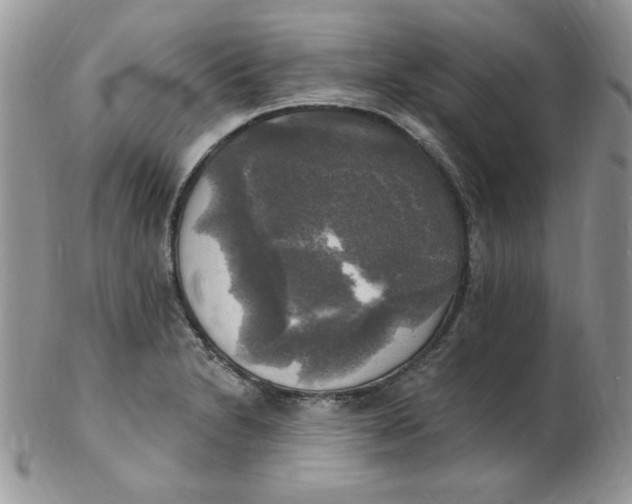 X0000102411230200808221904