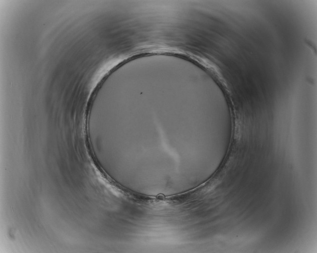 X0000102411231200808221904