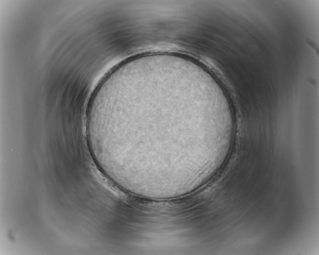 X0000102411232200808221904