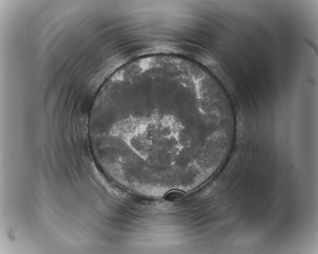 X0000102411233200808221904