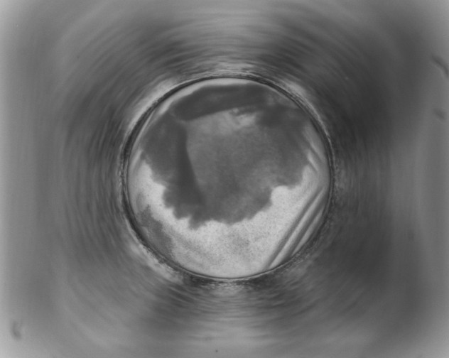 X0000102411235200808221904