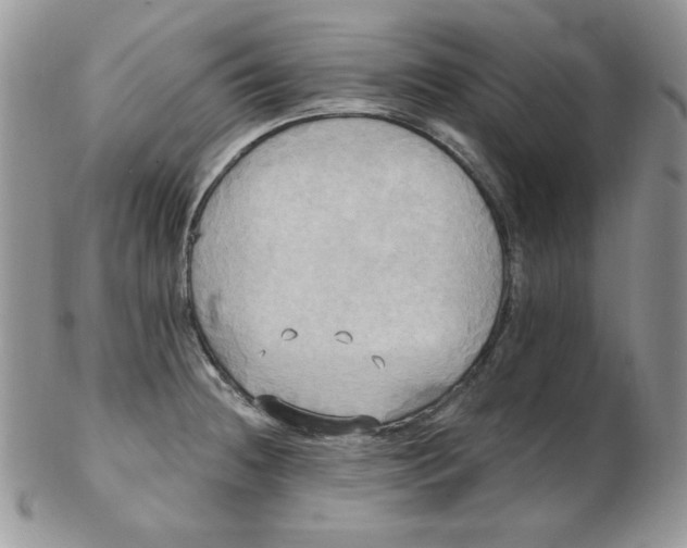 X0000102411236200808221904