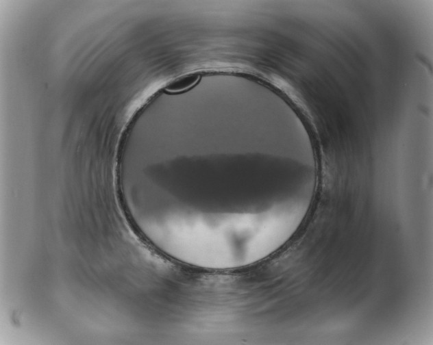 X0000102411237200808221904