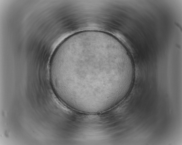 X0000102411238200808221904