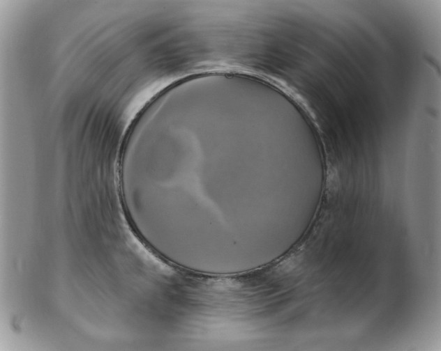 X0000102411239200808221904