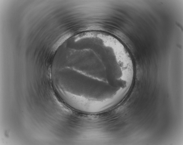 X0000102411241200808221904