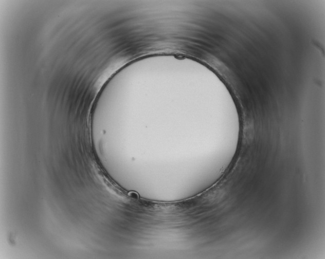 X0000102411242200808221904