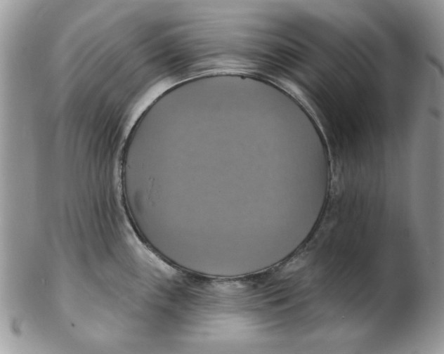 X0000102411243200808221904