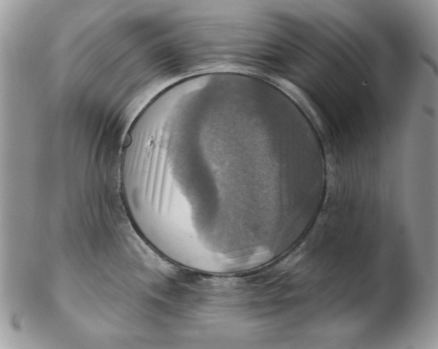 X0000102411244200808221904