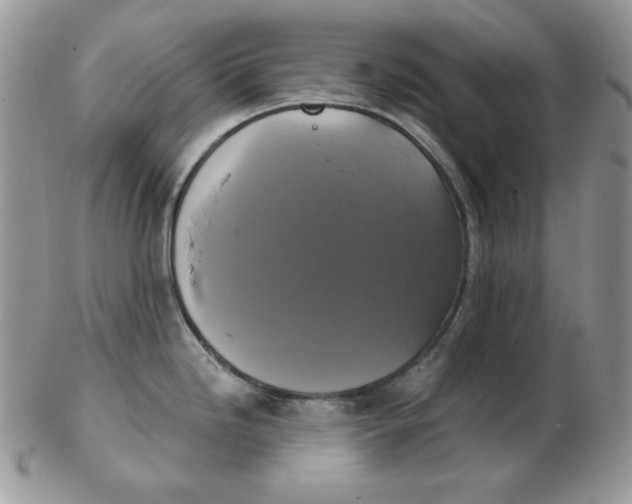 X0000102411246200808221904