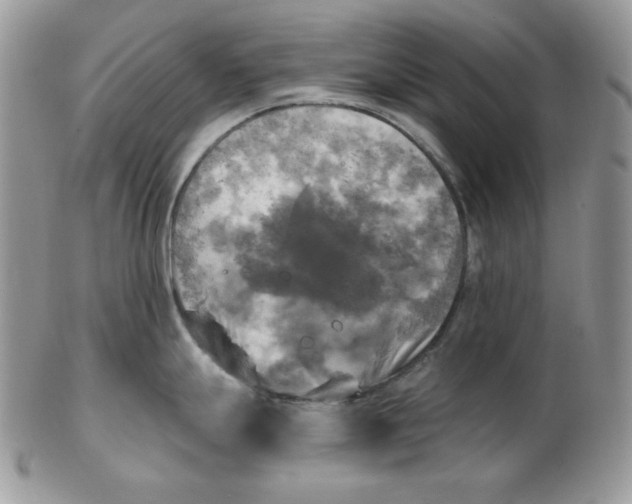 X0000102411247200808221904