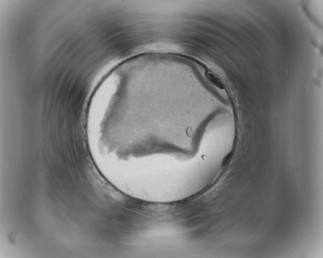 X0000102411248200808221904